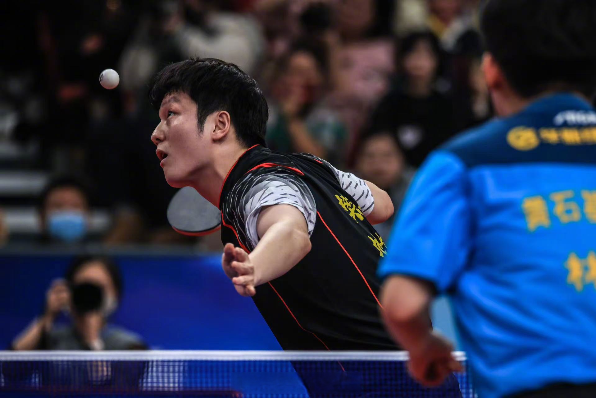 比利时乒乓球队血洗法国乒乓球队,樊振东打破历史纪录的简单介绍 比利时乒乓球队血洗法国乒乓球队,樊振东打破历史纪录的简单介绍