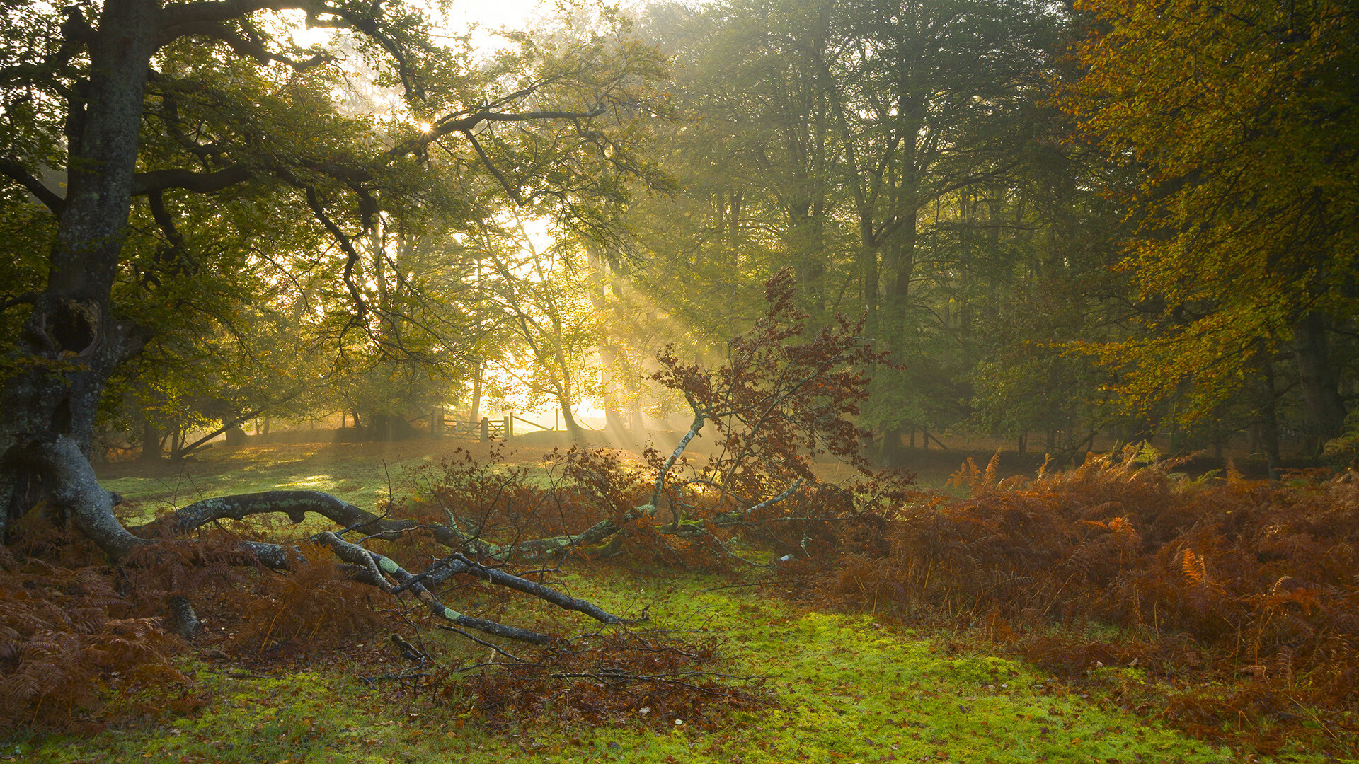 诺坎普的叹息与斯台普斯的铁壁，当国家德比遇见浓眉式防守