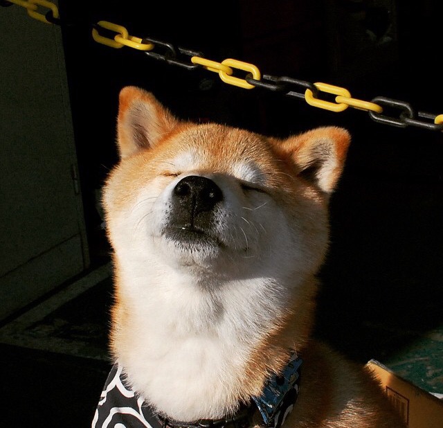 末节桑巴风暴席卷巴萨，时刻拉亚化身英超冠军之匙