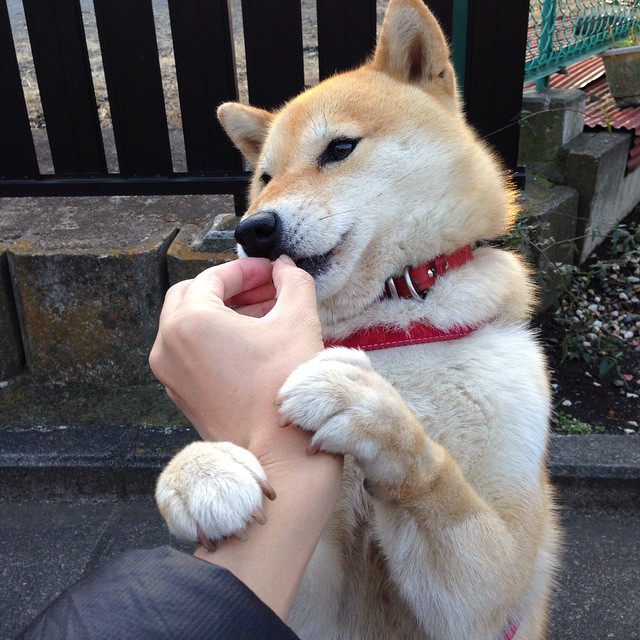 世俱杯参赛资格-穆勒魔术，当德意志铁血在葡萄牙战袍中苏醒