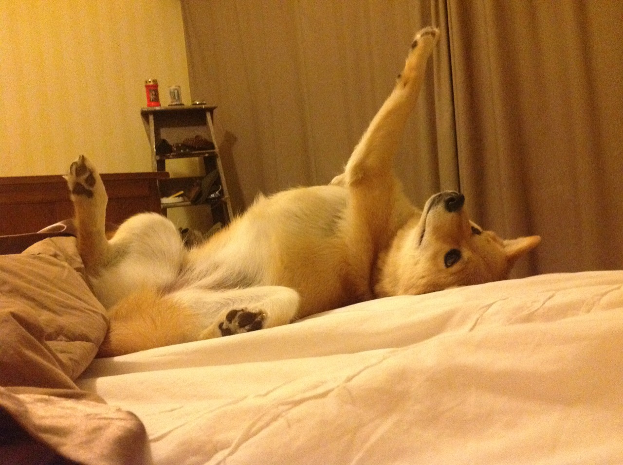 防守绞杀，孤胆英雄独揽关键8分！新疆让北京窒息，福克斯上演终极救赎