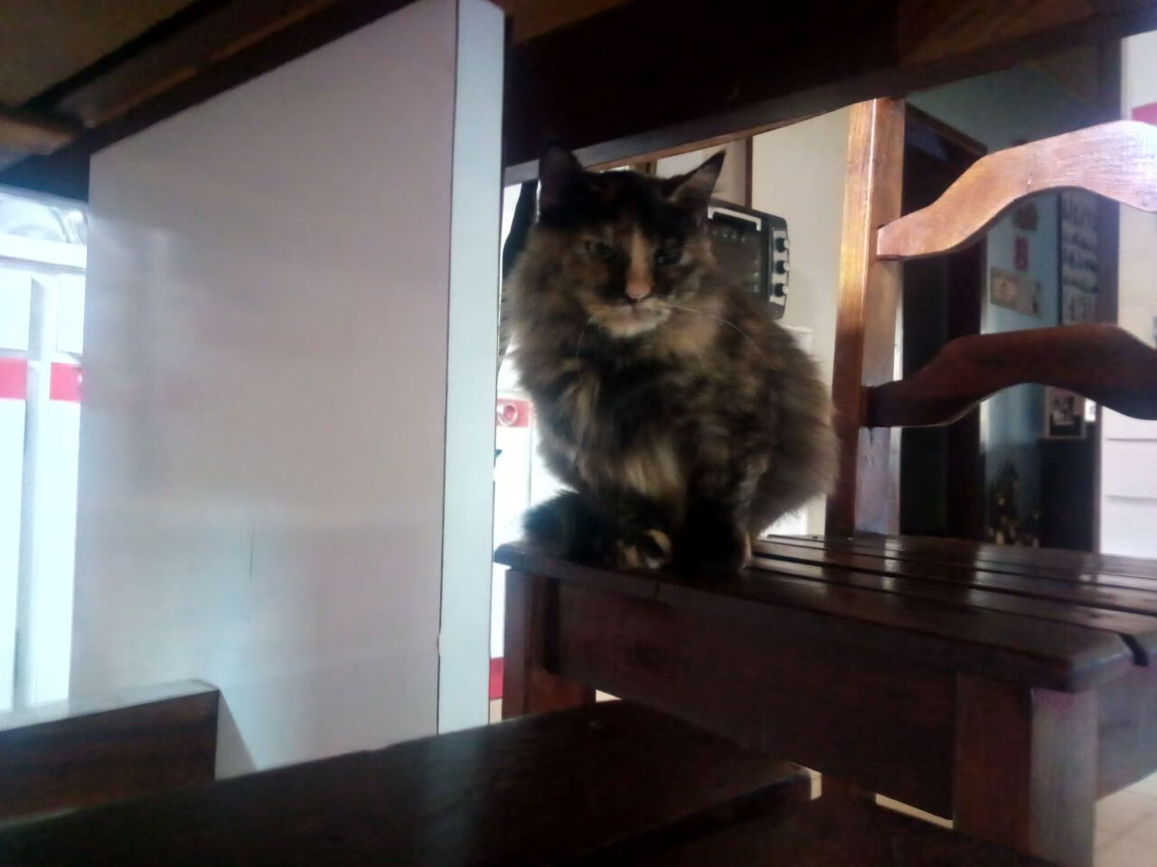 世俱杯决赛-跨越橄榄球与足球的对抗哲学，当基耶萨末节接管比赛