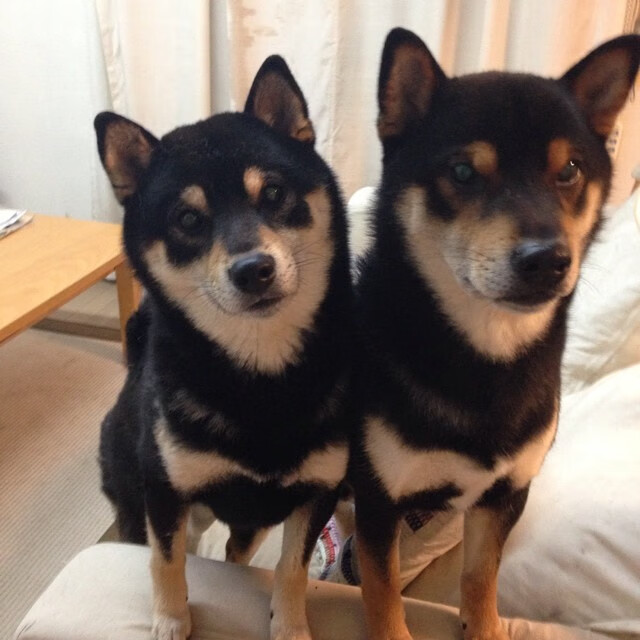 西决生死战之夜,恩比德硬仗封王