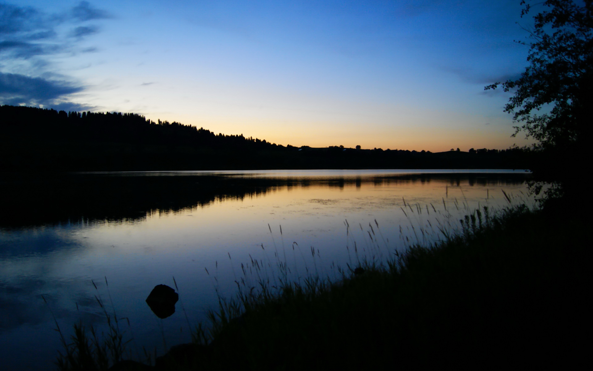 篮筐下的哨兵与利刃，布克的世界杯封神之夜