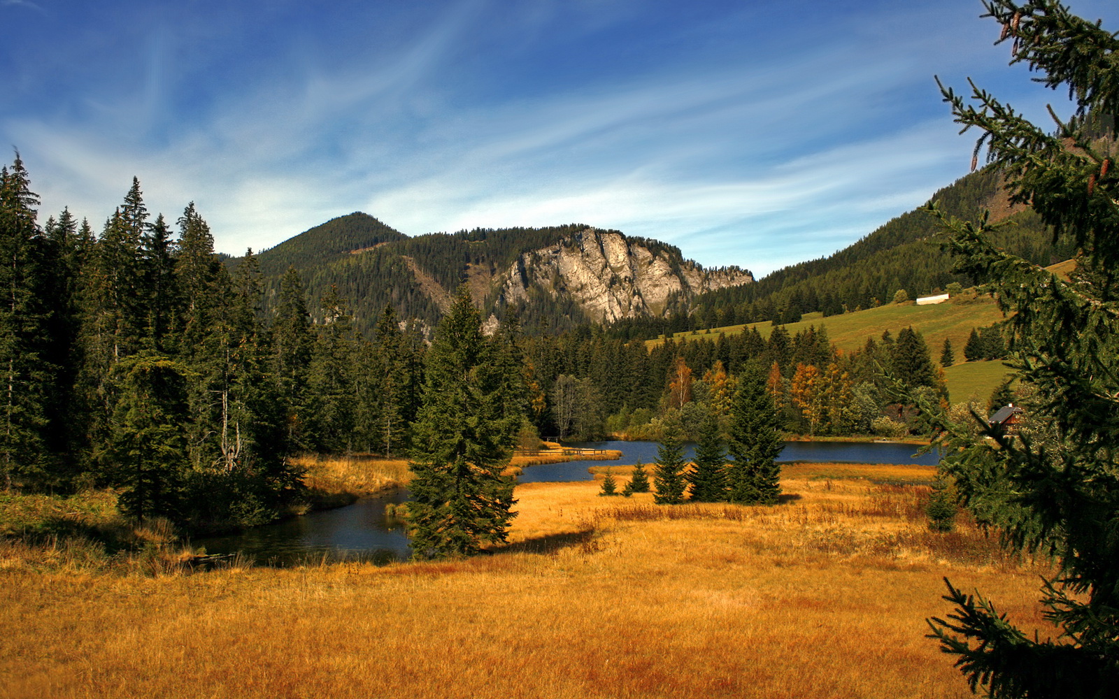 跨越重洋的篮球火焰，从塔图姆的爆发到广东队的单节洪流