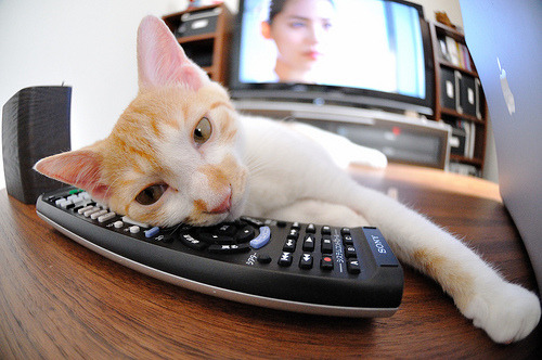 世俱杯改制-乔治主宰年度焦点战，火箭单节爆发击溃吉林队