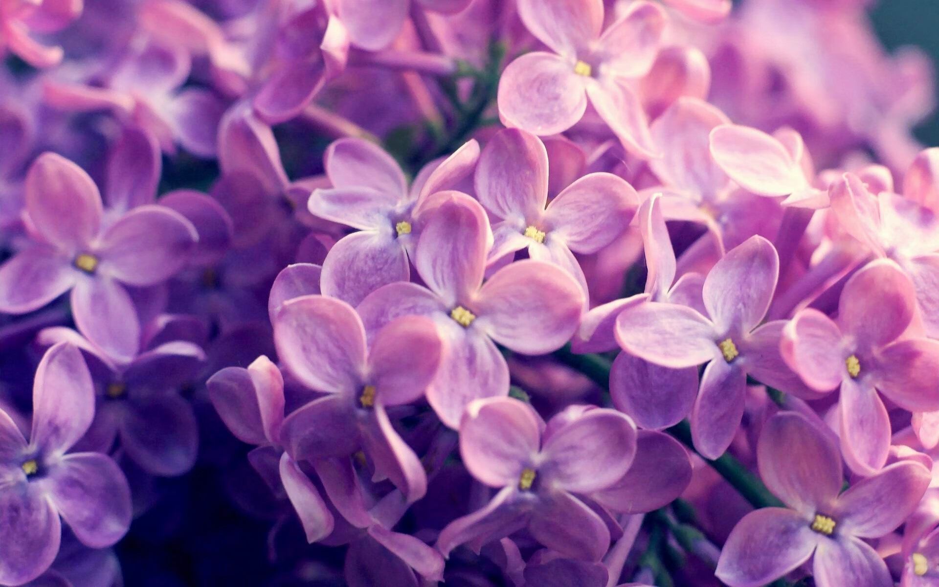 世俱杯参赛资格-福克斯49分生涯之夜！骑士力克热火