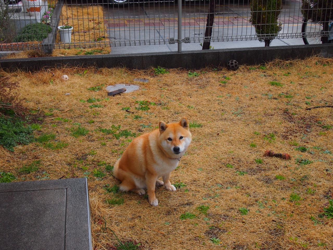 世俱杯改制-魔术对阵新疆队，拉梅洛用实力证明自己