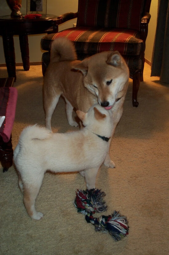 世俱杯直播-铁闸拉梅洛，山西队窒息式防守锁死浙江猛攻