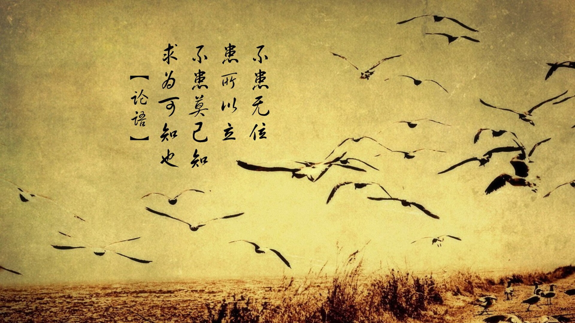 逆境涅槃!新疆战吉林,保罗在重压下完成救赎式爆发