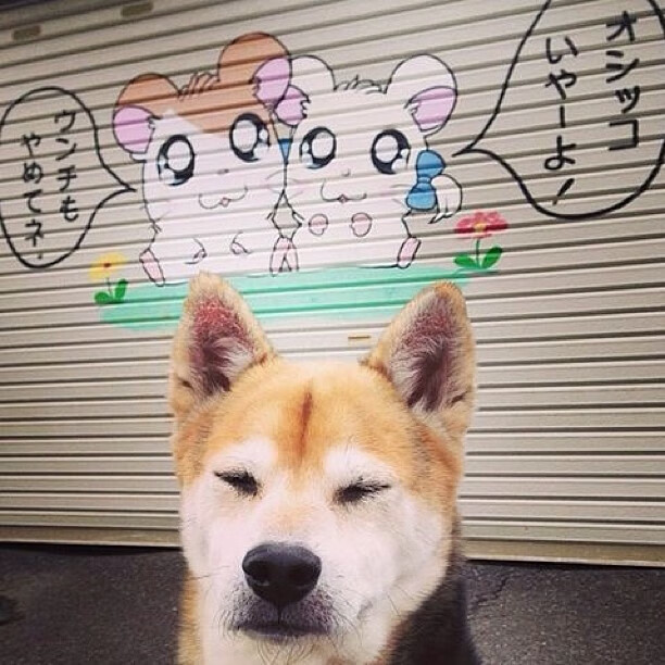 世俱杯直播-奥亚尔萨瓦尔闪耀全场，荷兰闪电战击溃挪威