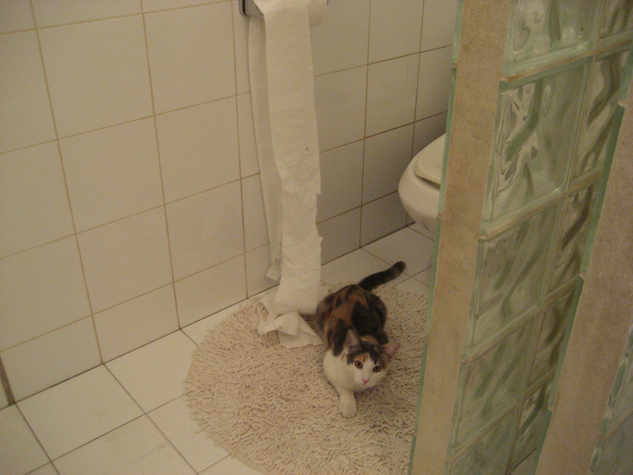 战术与巨星的交响，从摩纳哥的精密齿轮到孙兴慜的孤胆光芒