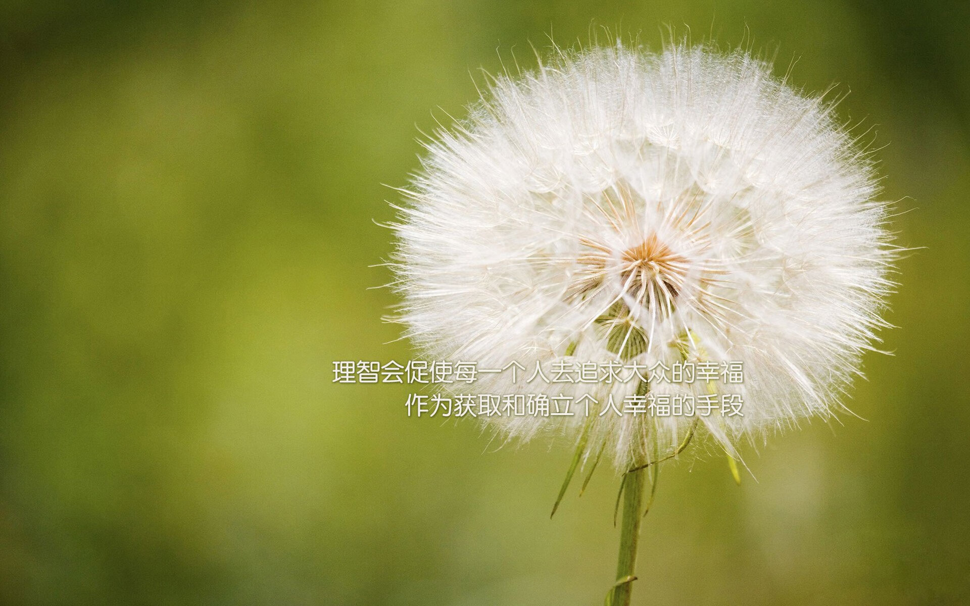 隔空点燃的火花，捍卫王座与征服王座