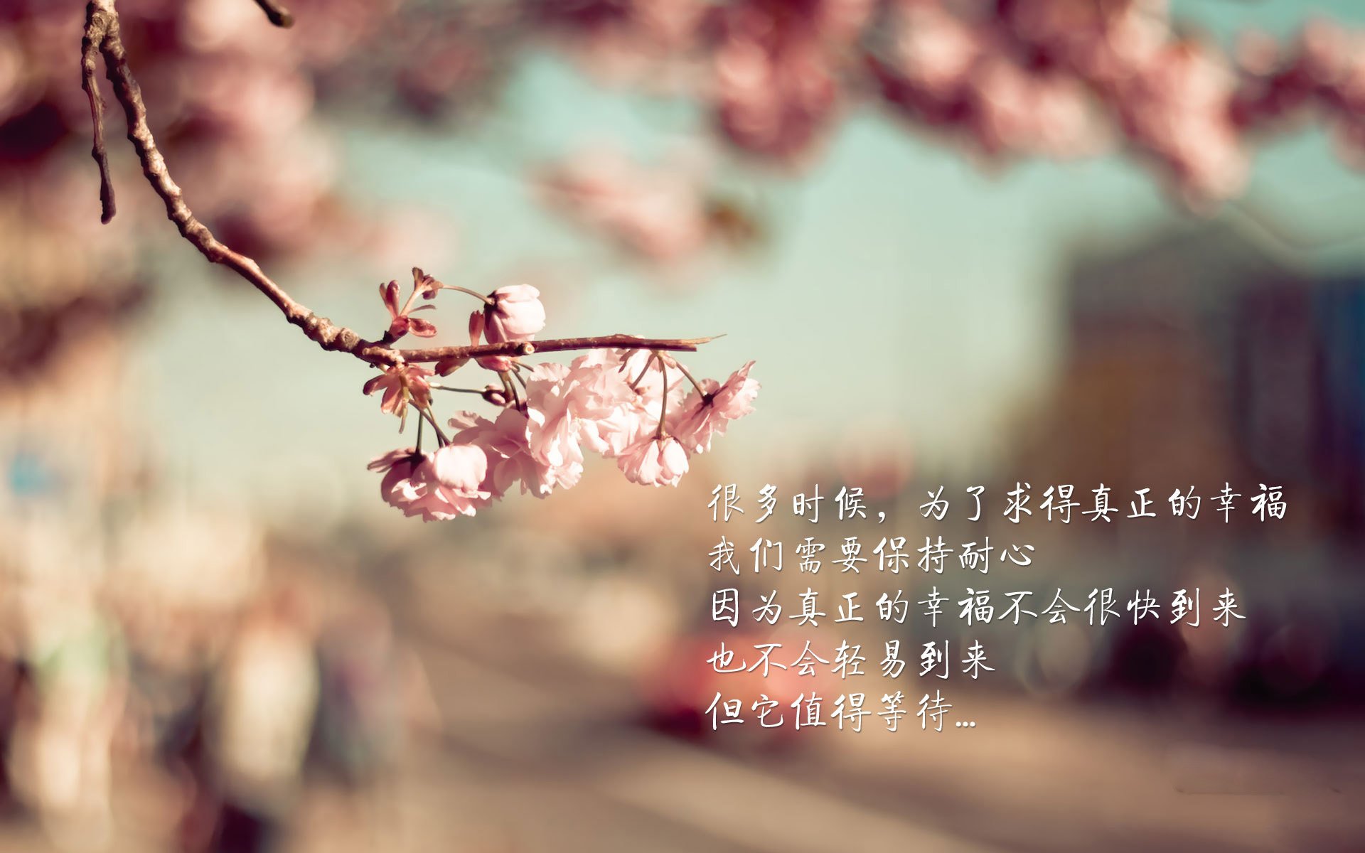 喀山之夜，苏亚雷斯导演绝杀，罗马尼亚打破高卢神话